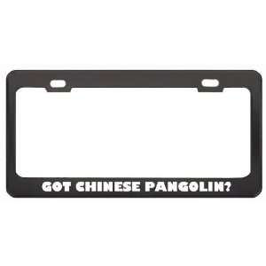 Got Chinese Pangolin? Animals Pets Black Metal License Plate Frame 