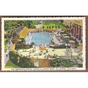  Postcard Vintage The Ambassador Crystal Plunge Los Angeles 