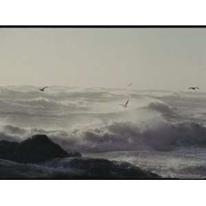 Sea Birds Fly Above Large Waves Crashing onto Maines Rocky Coastline 