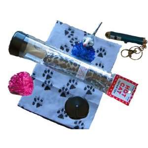  Cat Lover Gifts   Katsn Us Mini Tube of Cat Toys with 