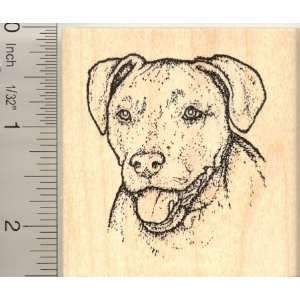 Fritz the Red Nosed Pitbull Dog Rubber Stamp Arts, Crafts 