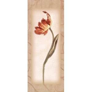  Liebermans P147494 Donna Geissler Blossom III Tulip 8.00 x 