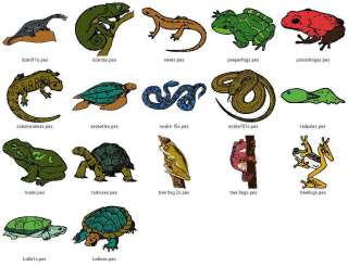 Frogs, Reptiles & More Vol.6