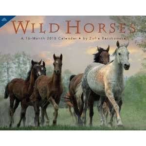  Wild Horses 2010 Deluxe Wall Calendar