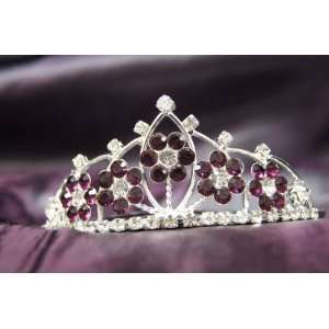   Crown with Dark Purple Crystal Flower DH15764c Arts, Crafts & Sewing