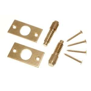SECURITY HINGE BOLTS EB BRASS PLATED STEEL WITH FIXING SCREWS ( 1 pair 