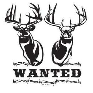  Western Recreation Ind Wanted Whitetail Decal