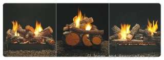 18 Empire Fireplace Gas SeeThru Remote Logs & Burner  