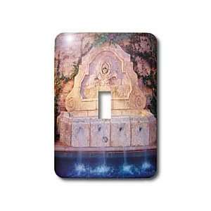 Florene Architecture   Garden Fountain   Light Switch Covers   single 