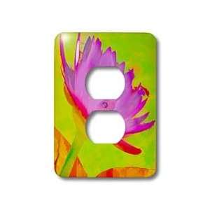   plant water lily red purple green flower abstract   Light Switch