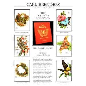  Carl Brenders   Butterflies Exotic Group #1