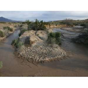 Amargosa River and its Riparian Habitat and Erosion Pattern, Mojave 