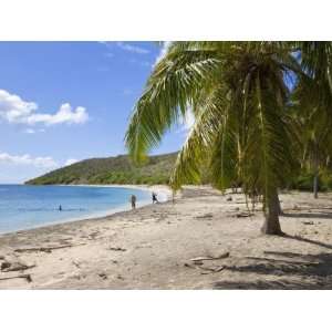  Turtle Beach on the Southeast Peninsula, St. Kitts 