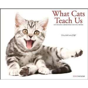  What Cats Teach Us 2010 Wall Calendar