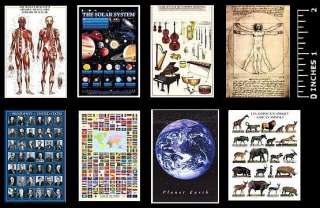   SIZE Educational Posters~ Solar System~ Human Body~ World Flags~ More