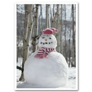  EGP Jaunty Snowman Holiday Greetings 