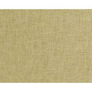  7641 Ashwood in Champagne by Pindler Fabric
