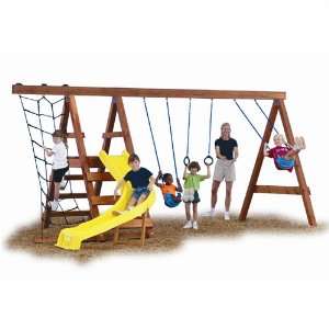  Swing n Slide NE4433 Pioneer Playground   Project 555 