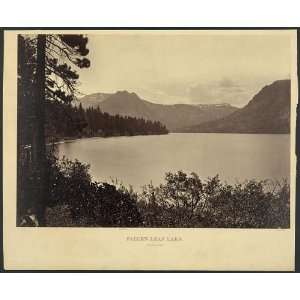   ,forests,ponds,Expanding Horizons,California,CA,c1860