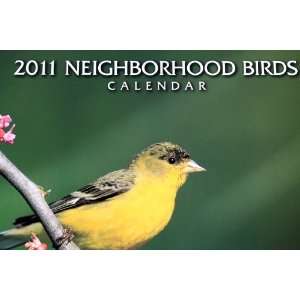  2011 Neighborhood Birds Calendar