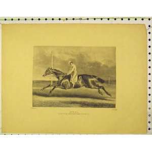  Print 1842 Race Horse Attila Winner Derby Stakes Epsom 