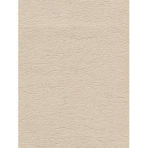   Sch 291 3719 Ultraleather   Champagne Fabric Arts, Crafts & Sewing