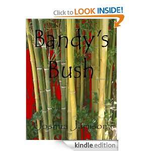 Bandys Bush Joshua Jamison  Kindle Store