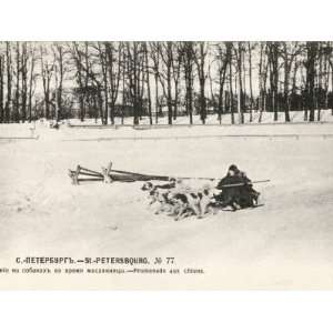 Winter Scene with a Dog Sled and Passenger in St Petersburg, Russia 
