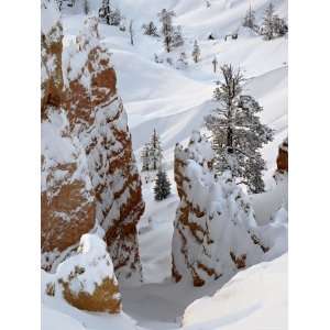  Snow, Trees, and Hoodoos, Bryce Canyon National Park, Utah 