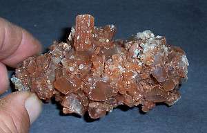Minerals   Aragonite Crystal Cluster  