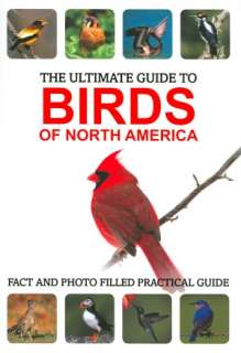 The Ultimate Guide to Birds of Michael Vanner