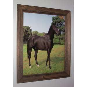   Horse Picture Print in Rope trimmed Pine Wood Frame 