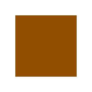  Rosco E Color 156 Chocolate Gel Filter Sheet Electronics