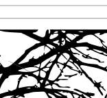 VINYL WALL DECAL STICKER ART TREE TOP BRANCHES DECOR 894708001854 
