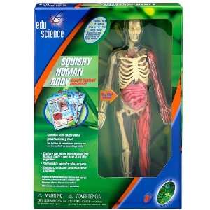  Edu Science Squishy Human Body Toys & Games