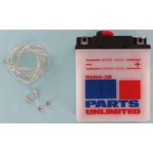  Parts Unlimited Economy Battery 