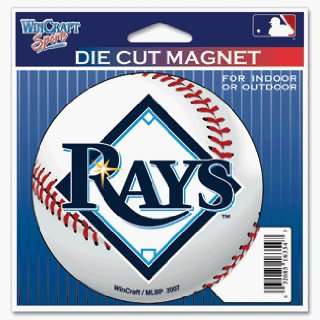  2 Tampa Bay Rays Set of 2 Indoor / Outdoor Magnets *SALE 