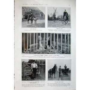   1906 Fox Hunting Sport Leadenhall Market John Bryant