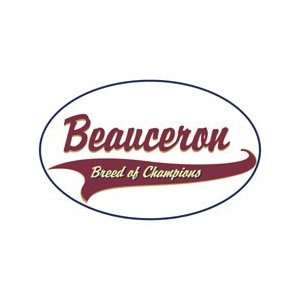  Beauceron Shirts