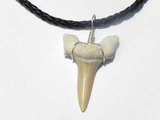 Sharks Tooth Necklaces Shark Braided Leather Wholesale  