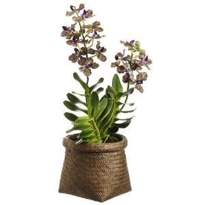  Faux 22 Vanda Orchid Plant in Basket Purple Green Patio 