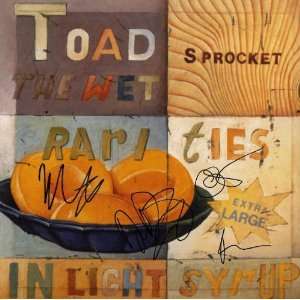  Toad The Wet Sprocket Authentic Autographed 12x12 Album 