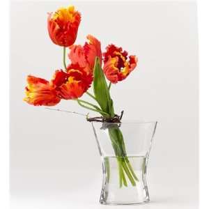  Orange Parrot Tulips in Glass Vase with acrylic water