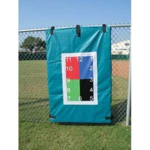 The Pitching Pad   Professional Pitching System   Baseball Pitching 