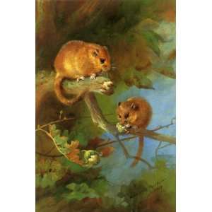 FRAMED oil paintings   Archibald Thorburn   24 x 36 inches   Dormice
