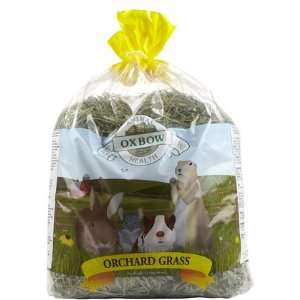  Oxbow Orchard Grass Hay   40 oz (Quantity of 2) Health 