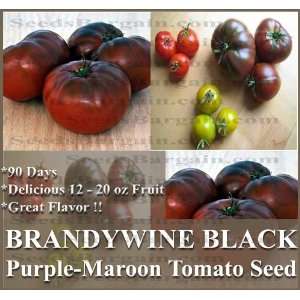  1 oz (9,000+) BRANDYWINE BLACK Tomato seeds HEIRLOOM Bred 