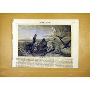  Dogs Friend Death Man Birds Fine Art French Print 1859 