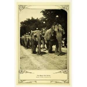  1910 Print Domesticated African Elephants A Tibbitts WI 