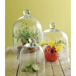  Clear Glass Cloches   Large